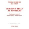 Geriadur bihan ar Sonerezh