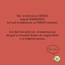 Ma c'horf DIN-ME eo !